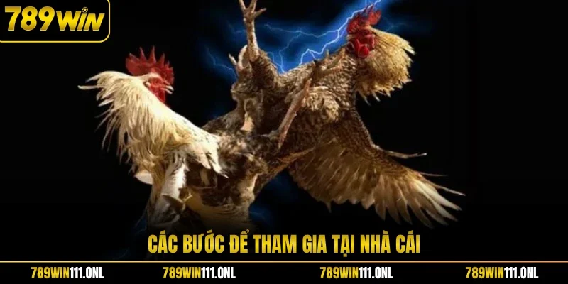 Các bước để tham gia tại nhà cái