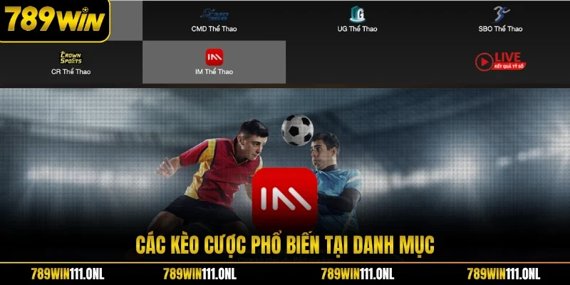 Các kèo cược phổ biến tại danh mục