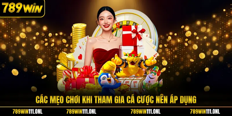 Các mẹo chơi khi tham gia cá cược nên áp dụng