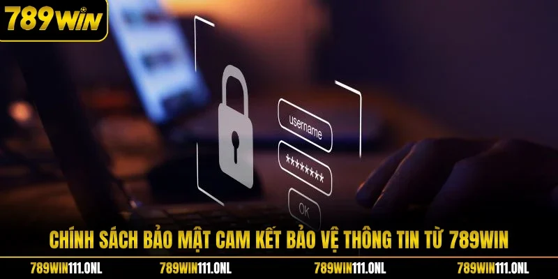 Chính sách bảo mật cam kết bảo vệ thông tin từ 789WIN
