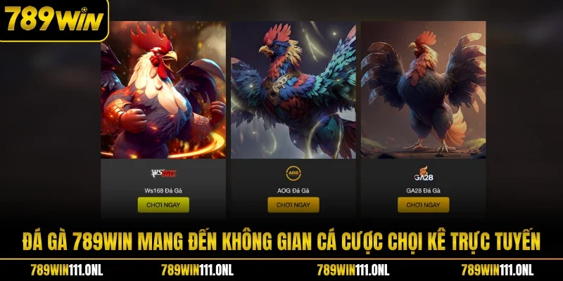 Đá gà 789WIN mang đến không gian cá cược chọi kê trực tuyến