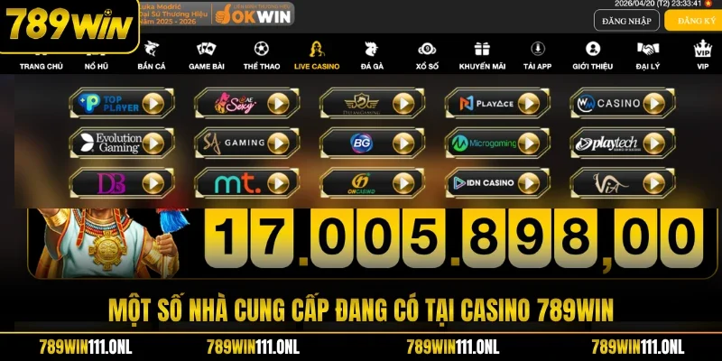 Một số nhà cung cấp đang có tại Casino 789WIN